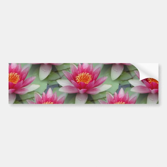 Autocollant De Voiture Rose Lotus Water Lily (Devant)