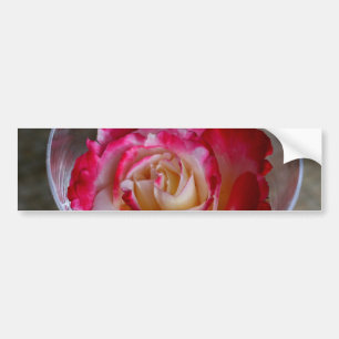 Autocollant De Voiture Rose Rose Closeuse En Verre À Vin