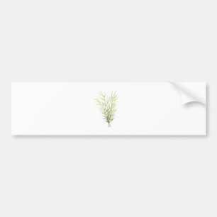 Autocollant De Voiture Rosemary herbs
