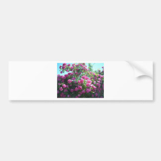 Autocollant De Voiture Roses