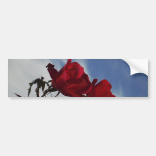 Autocollant De Voiture Roses rouges contre un ciel bleu vif