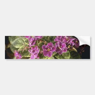 Autocollant De Voiture Saintpaulia "choix pourpre" de lavande (viole