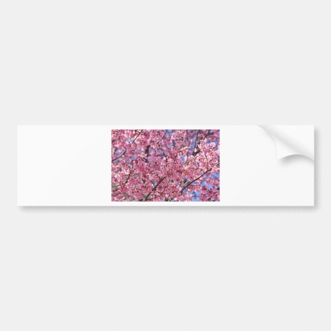 Autocollant De Voiture Sakura Pink Cherry Blossom Sky (Devant)