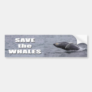 Autocollant De Voiture Sauvez l'adhésif pour pare-chocs de baleines