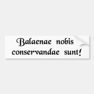 Autocollant De Voiture Sauvez les baleines !