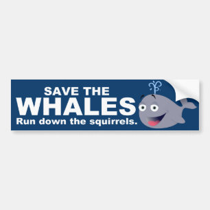 Autocollant De Voiture Sauvez les baleines, pas les écureuils