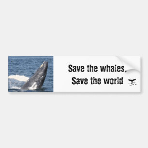 Autocollant De Voiture Sauvez les baleines, sauvez le monde