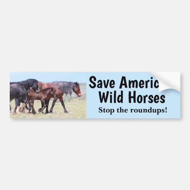 Autocollant De Voiture Sauvez les chevaux sauvages de l'Amérique (Devant)