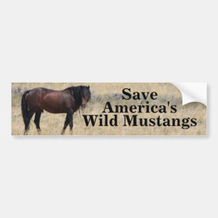Autocollant De Voiture Sauvez les Mustangs sauvages de l'Amérique
