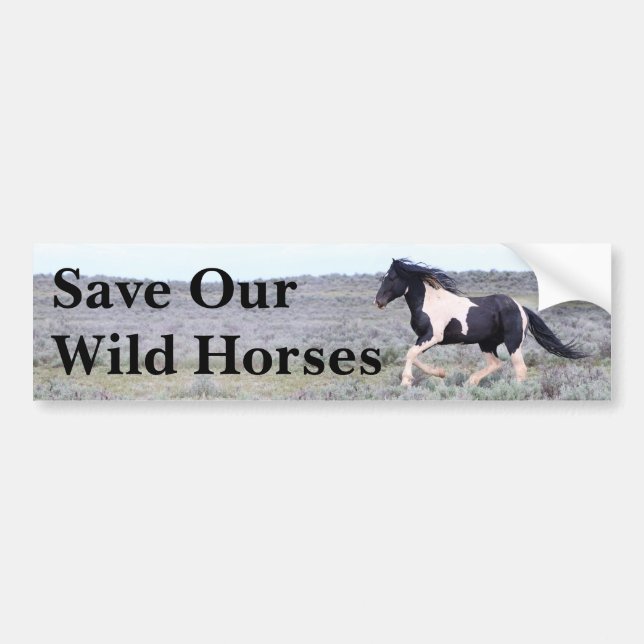 Autocollant De Voiture Sauvez nos chevaux sauvages (Devant)