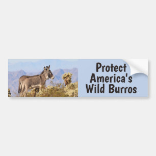 Autocollant De Voiture Sauvons Notre Sticker Burros Wild