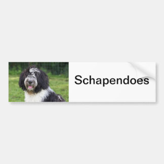 Autocollant De Voiture schapendoes