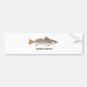 Autocollant De Voiture Seatrout repéré (intitulé)