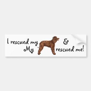 Autocollant De Voiture Secourir Irish Water Spaniel
