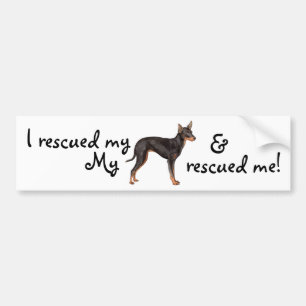 Autocollant De Voiture Secourir Toy Manchester Terrier