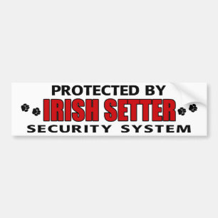 Autocollant De Voiture Sécurité du secteur irlandais