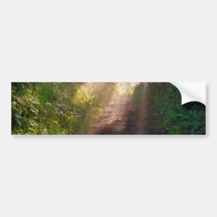 Autocollant De Voiture sentier forestier