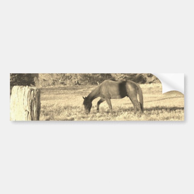 Autocollant De Voiture Sepia ton cheval Brown et clôture (Devant)