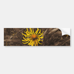 Autocollant De Voiture Sepia tone fleurs sauvages jaunes