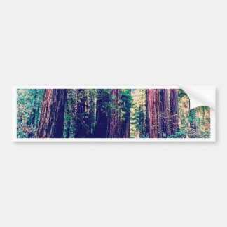 Autocollant De Voiture Séquoias de Californie