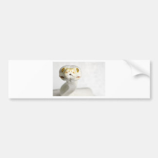 AUTOCOLLANT DE VOITURE SERPENT ALBINO
