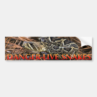 Autocollant De Voiture Serpents vivants de danger