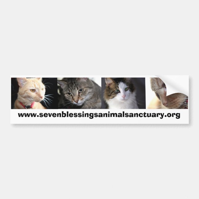 Autocollant De Voiture sevenblessingsanimalsanctuary.org (Devant)
