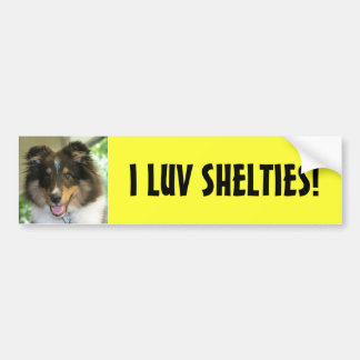 Autocollant De Voiture Sheltie, I LUV SHELTIES !