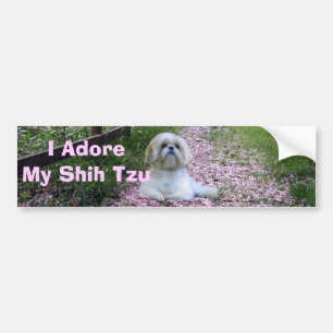 Autocollant De Voiture Shih Tzu adorent l'adhésif pour pare-chocs