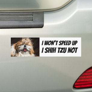 Autocollant De Voiture Shih tzu not Won't speed up drôle chien mignon cou