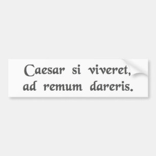 Autocollant De Voiture Si César étaient vivant, vous seriez enchaînés