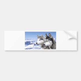 Autocollant De Voiture Sibérien Husky