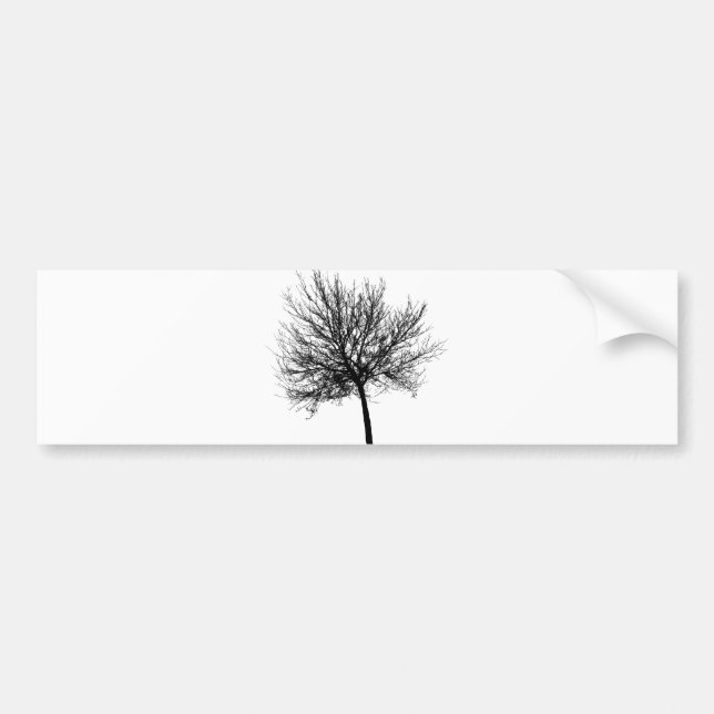 Autocollant De Voiture Silhouette de l'arbre (Devant)