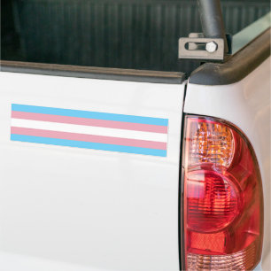 Autocollant De Voiture SlipperyJoe's transgenre pride drapeau de la diver