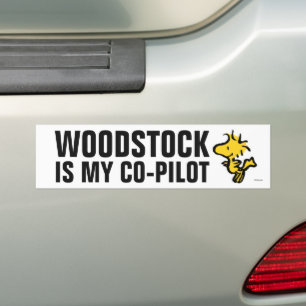 Autocollant De Voiture Snoopy & Woodstock Fun & Flowers