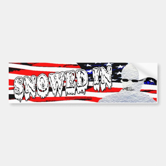 Autocollant De Voiture Snowden Dans Le Sticker De Bumper (Devant)