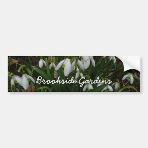 Autocollant De Voiture Snowdrops I