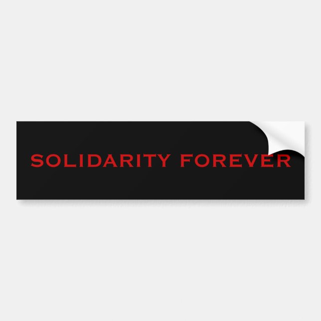 AUTOCOLLANT DE VOITURE SOLIDARITÉ POUR TOUJOURS (Devant)