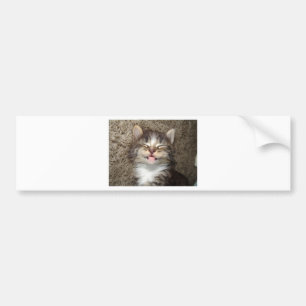 Autocollant De Voiture Sourire de chaton