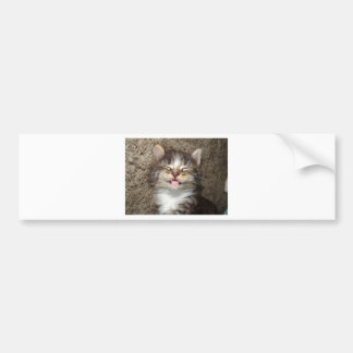 Autocollant De Voiture Sourire de chaton