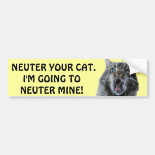 Autocollant De Voiture Spay et Neuter ton chat. Kitty choqué