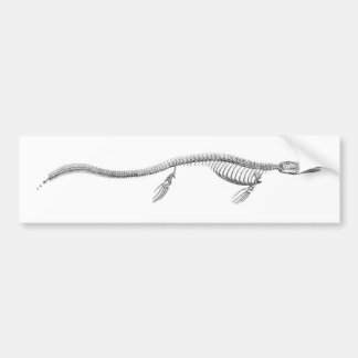 Autocollant De Voiture Squelette de Tylosaurus