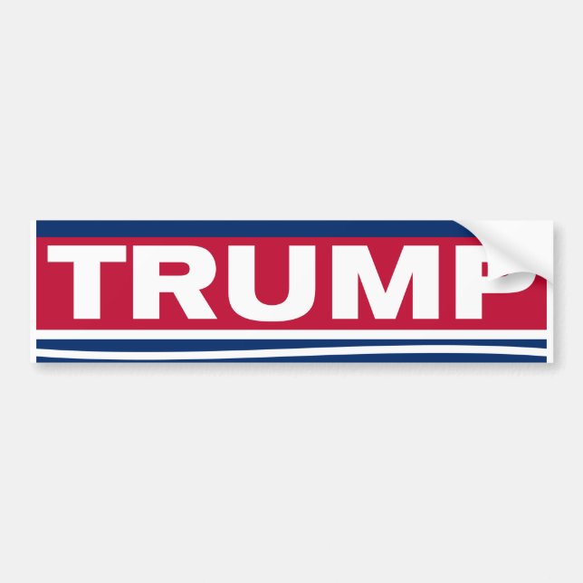 Autocollant De Voiture Stand with Trump~2024~MAGA (Devant)