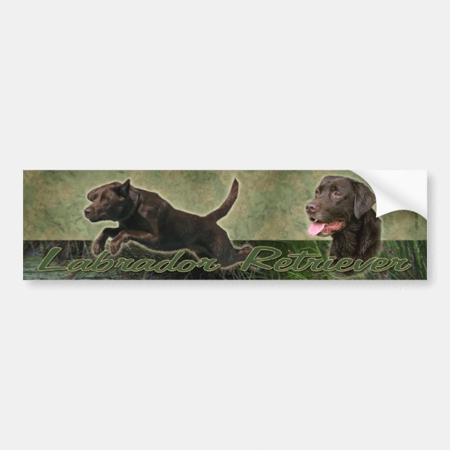 Autocollant De Voiture Sticke de pare-chocs de collage de labrador (Devant)