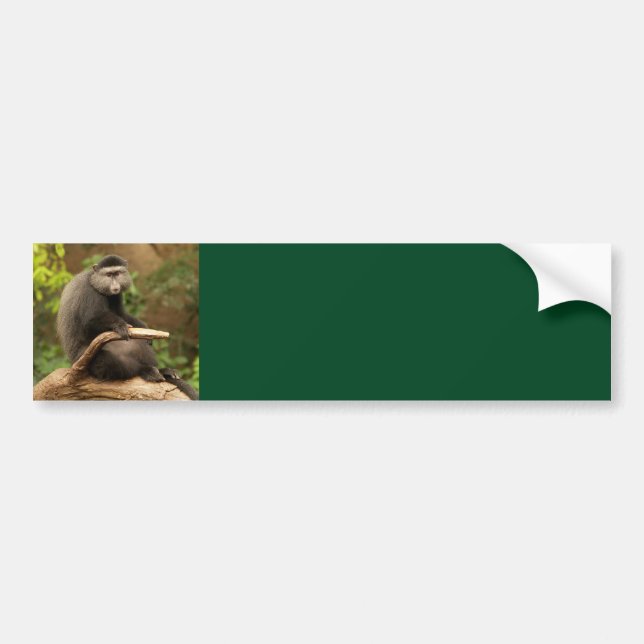 Autocollant De Voiture Sticker Arrière - plan de singe (Devant)