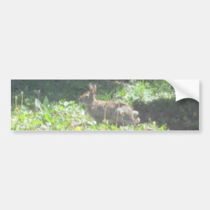 Autocollant De Voiture Sticker Bunny Wild