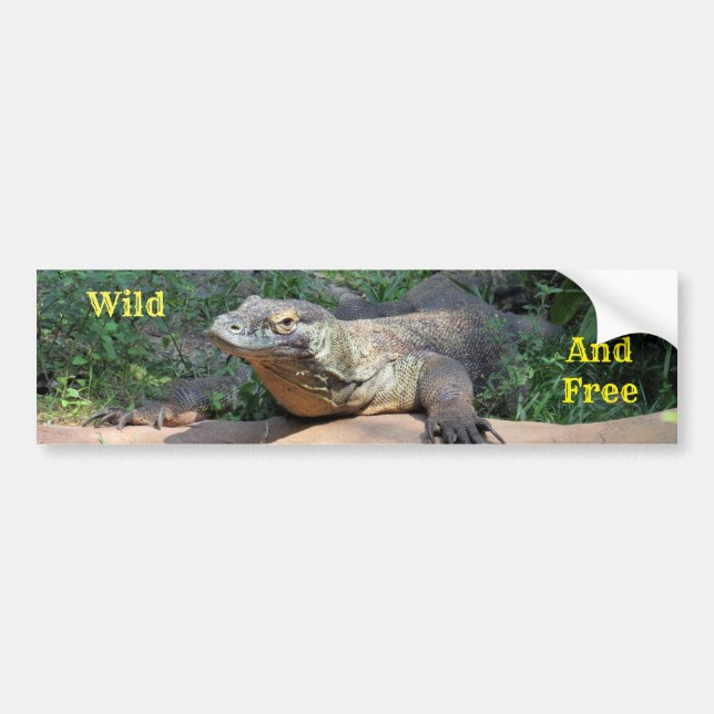 Autocollant De Voiture Sticker de pare-chocs Komodo Dragon sauvage et gra (Devant)