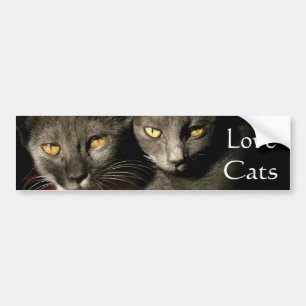 Autocollant De Voiture Sticker de pare-chocs Love Cats