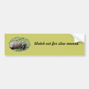 Autocollant De Voiture Sticker de pare-chocs, Tortue de gopher