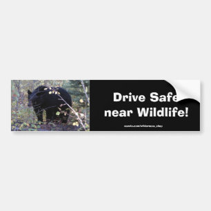 Autocollant De Voiture Sticker de protection contre la conduite de l'ours